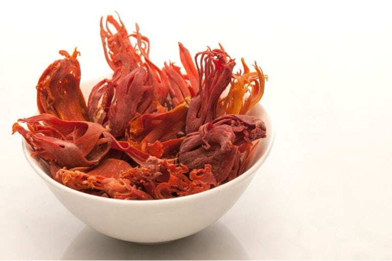 Health Benefits of Mace