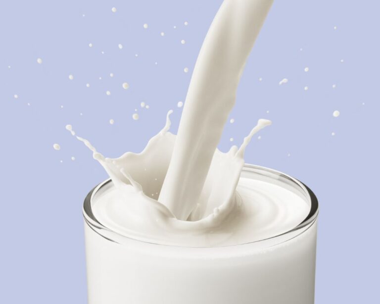 Different types of milk, including cow’s milk, lactose-free options, and plant-based alternatives, can cater to varying dietary needs and preferences, ensuring seniors can benefit from milk without discomfort.