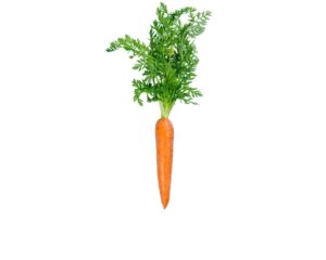 Raw Carrots Healthy