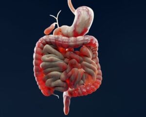 Bowel Movements