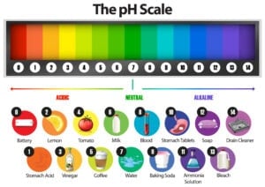 Fruit Acidity Chart