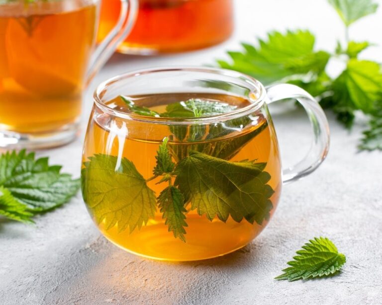 Nettle Leaf Tea