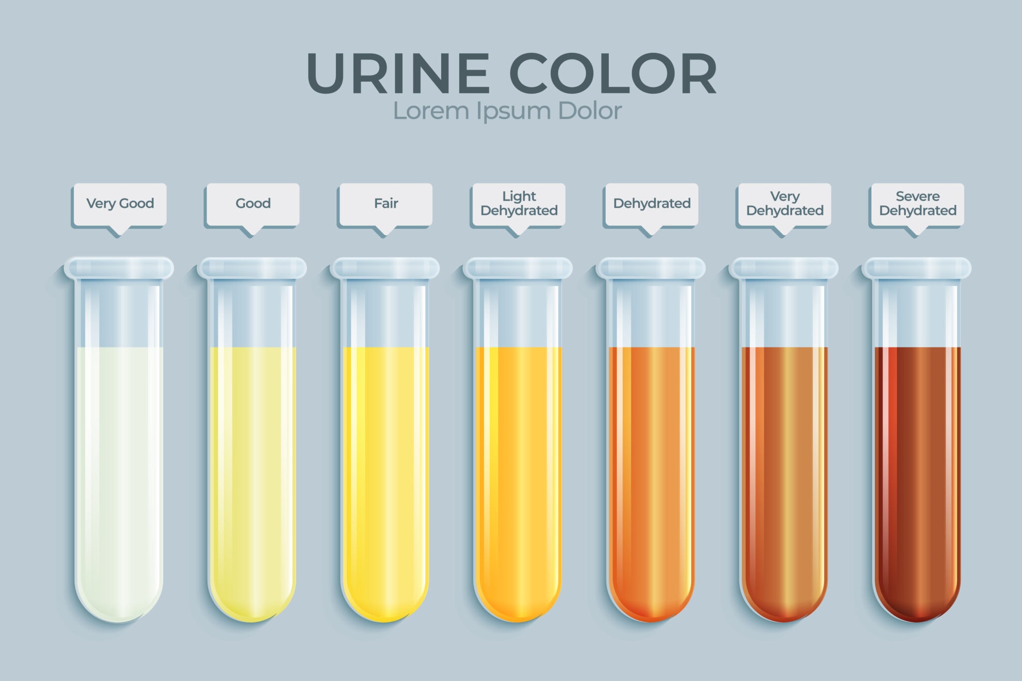 Urine Color Chart and Meanings: Your Guide to Urine Indicators - Allfit ...