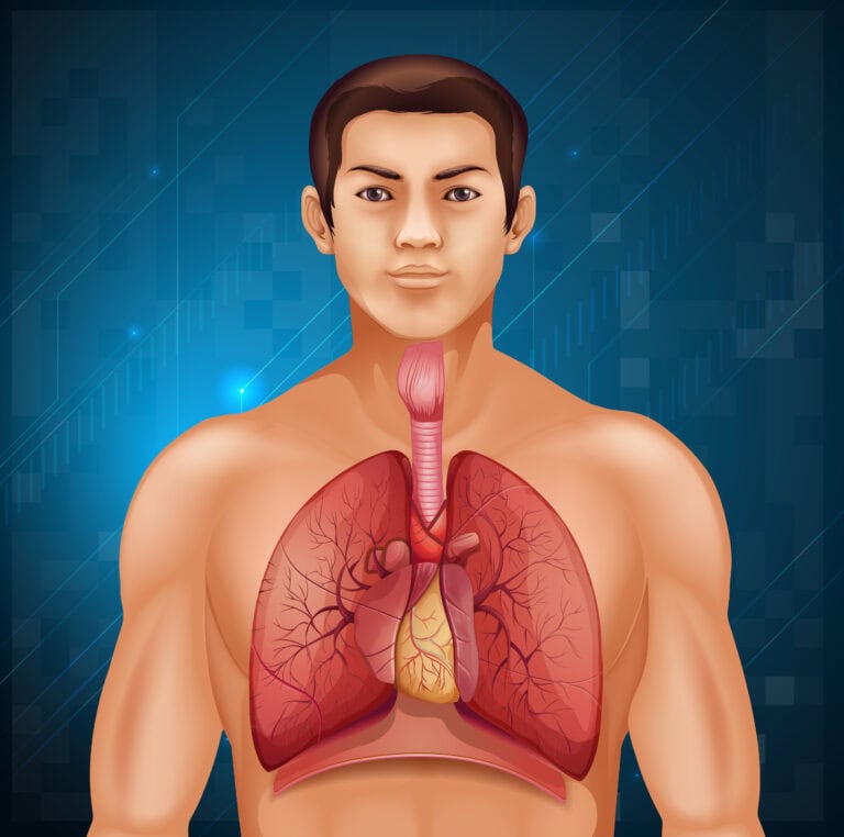 Understanding the Causes of Enlarged Aorta