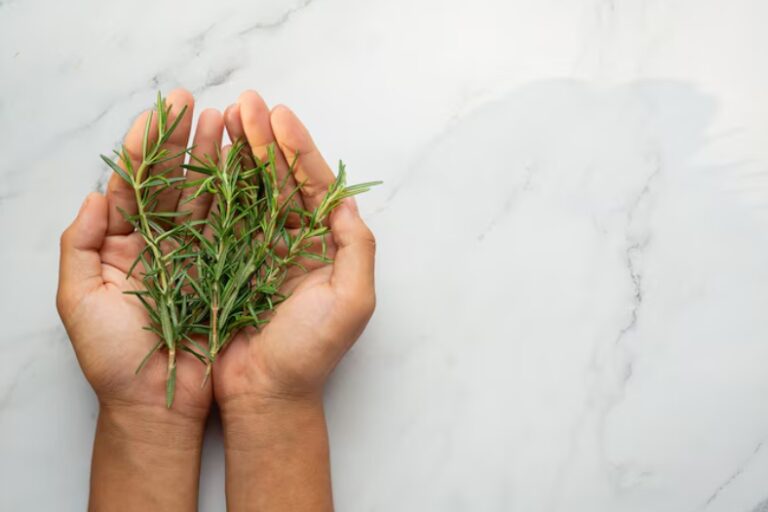 Discovering the Health Benefits of Thyme