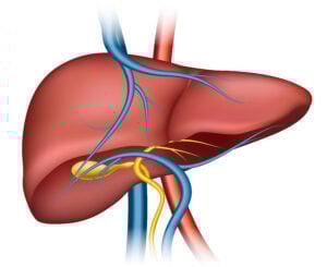Excess Bile Production