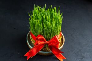 Top Health Benefits of Chives You Need to Know