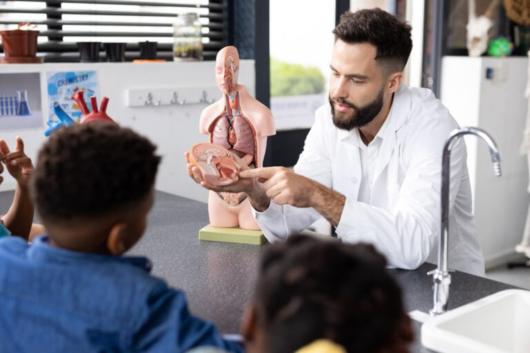 Understanding the Endocrine System