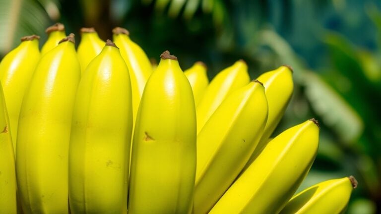 health benefits of bananas