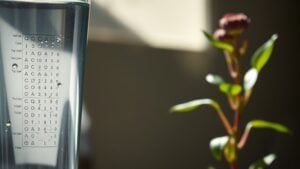 low urine output causes